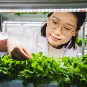 New MSc Food Science with Nutrition